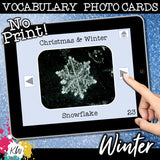 NO PRINT (Digital) Vocabulary Photo Cards - 20 Themed sets!