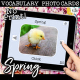 NO PRINT (Digital) Vocabulary Photo Cards - 20 Themed sets!