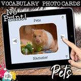 NO PRINT (Digital) Vocabulary Photo Cards - 20 Themed sets!