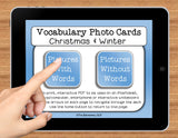 NO PRINT Winter and Christmas Vocabulary Flashcards