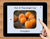 NO PRINT Fall and Thanksgiving Vocabulary Flashcards