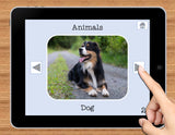 NO PRINT Animal Vocabulary Flashcards