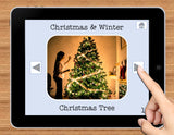 NO PRINT Winter and Christmas Vocabulary Flashcards