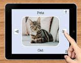 NO PRINT Pets Vocabulary Flashcards