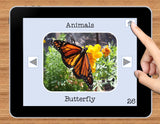 NO PRINT Animal Vocabulary Flashcards