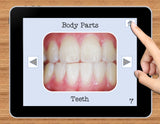 NO PRINT Body Parts Vocabulary Flashcards