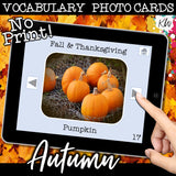 NO PRINT (Digital) Vocabulary Photo Cards - 20 Themed sets!