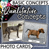 Early Language PHOTO CARDS Mega Bundle