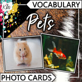 Vocabulary PHOTO CARDS Mega Bundle