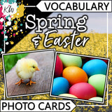Vocabulary PHOTO CARDS Mega Bundle