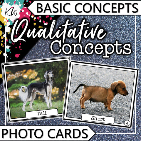 Qualitative Concepts PHOTO CARDS The Elementary SLP Materials Shop 
