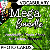 Vocabulary PHOTO CARDS Mega Bundle The Elementary SLP Materials Shop