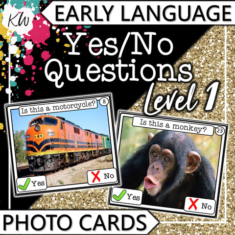 Yes/No Questions (Level 1) PHOTO CARDS The Elementary SLP Materials Shop 