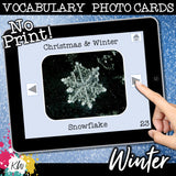 NO PRINT Winter and Christmas Vocabulary Flashcards