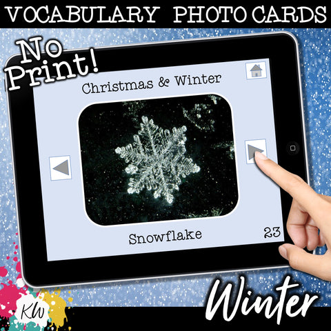 NO PRINT Winter and Christmas Vocabulary Flashcards
