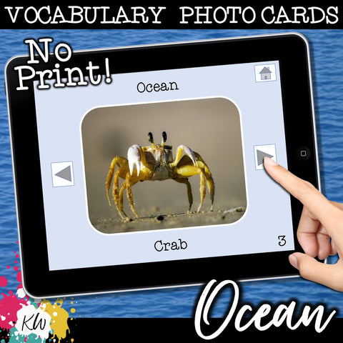 NO PRINT Ocean Vocabulary Flashcards