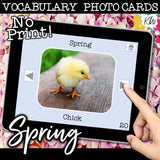 NO PRINT Spring and Easter Vocabulary Flashcards