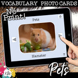 NO PRINT Pets Vocabulary Flashcards
