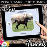 NO PRINT Animal Vocabulary Flashcards