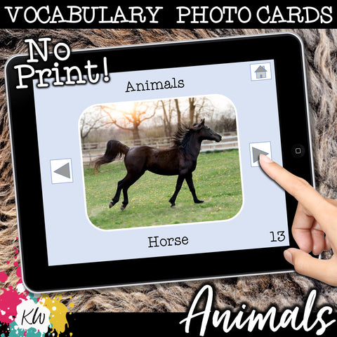 NO PRINT Animal Vocabulary Flashcards