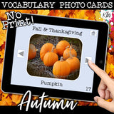 NO PRINT Fall and Thanksgiving Vocabulary Flashcards