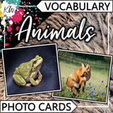 Animals PHOTO CARDS The Elementary SLP Materials Shop 