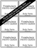 Body Parts PHOTO CARDS The Elementary SLP Materials Shop 