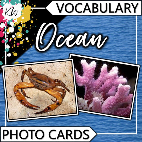Ocean PHOTO CARDS The Elementary SLP Materials Shop 