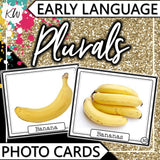Plurals PHOTO CARDS The Elementary SLP Materials Shop 